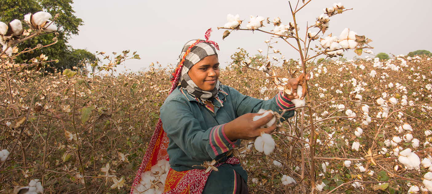 organic cotton procurement financing
