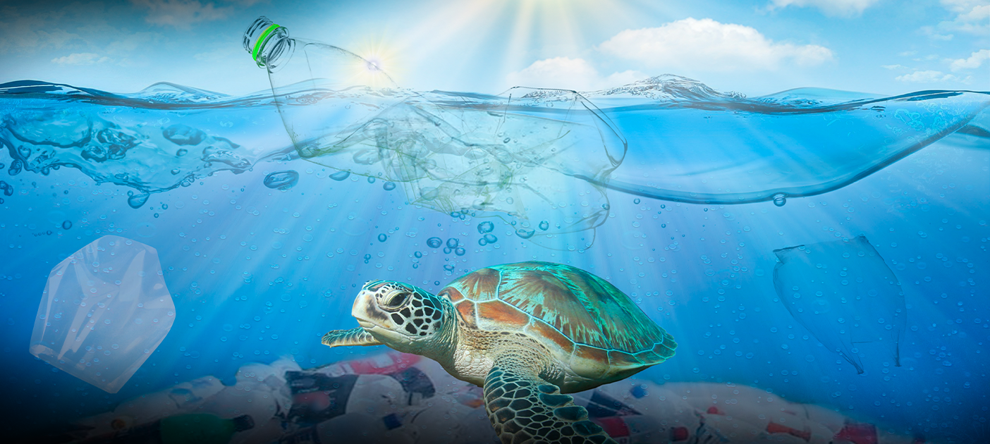 Blue finance to tackle ocean plastic pollution