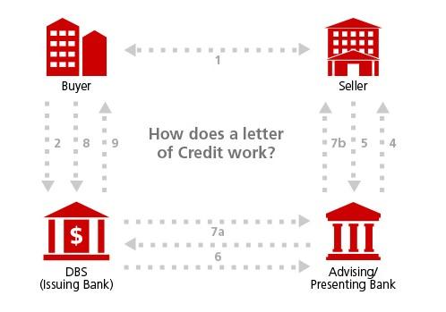 How does a letter of Credit work infographics