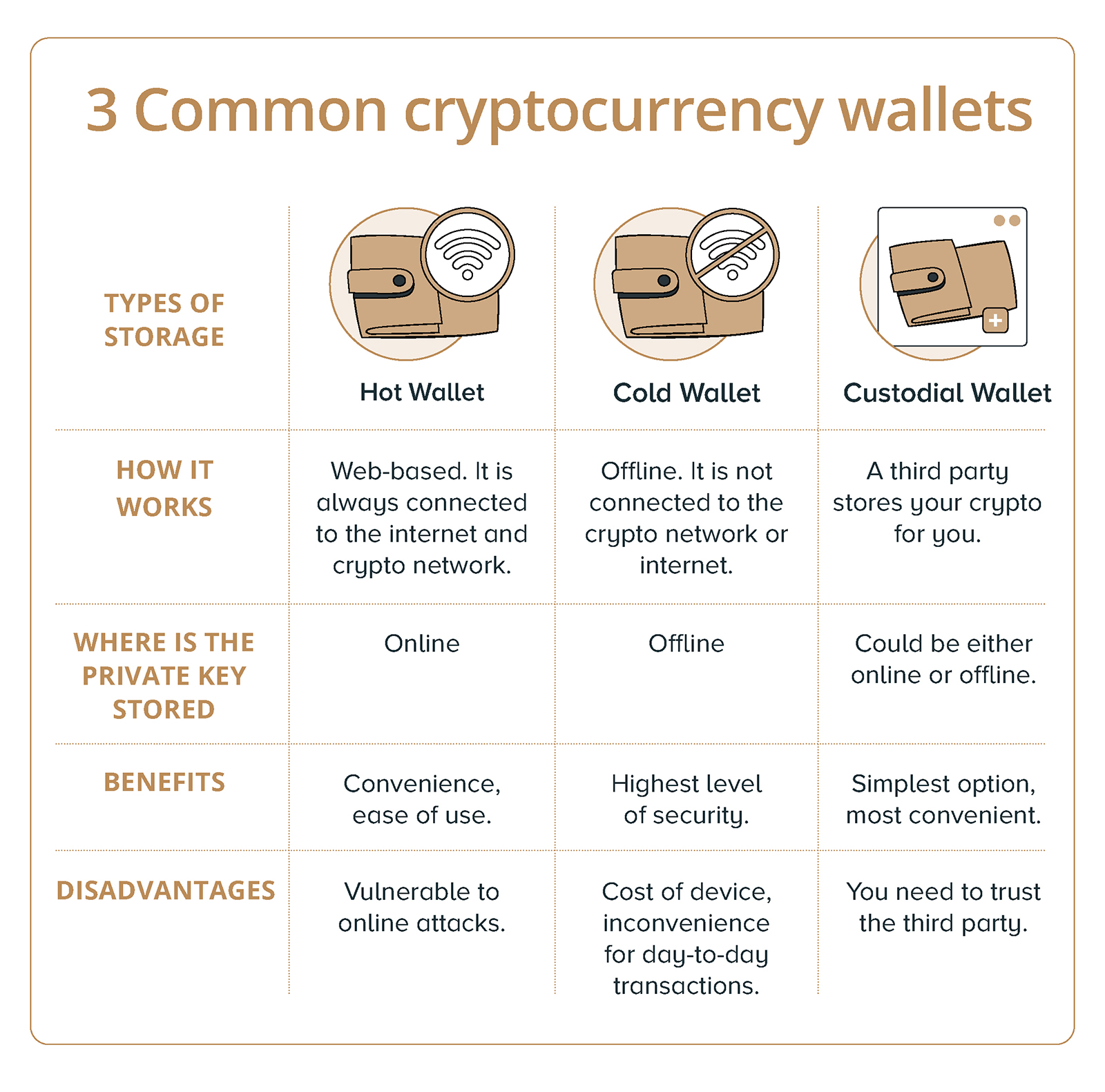 Common cryptocurrency wallets are: Hot wallets, cold wallets, custodial wallets.