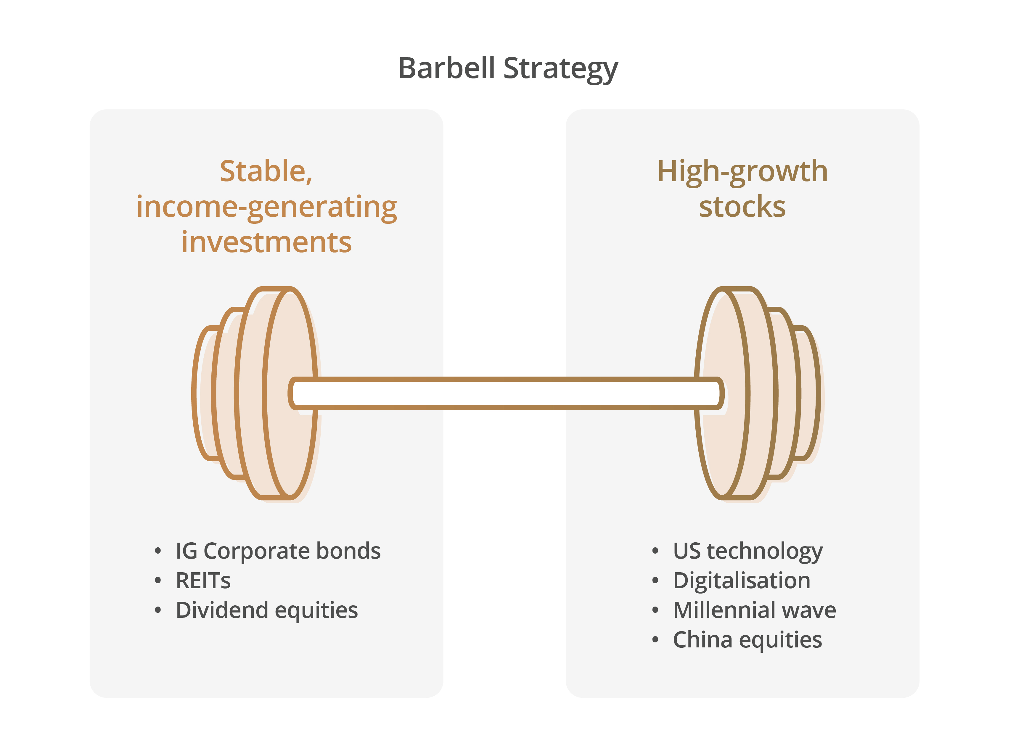 Barbell analogy, where one end denotes stable income-generating investments and the other denotes high-growth stocks. 