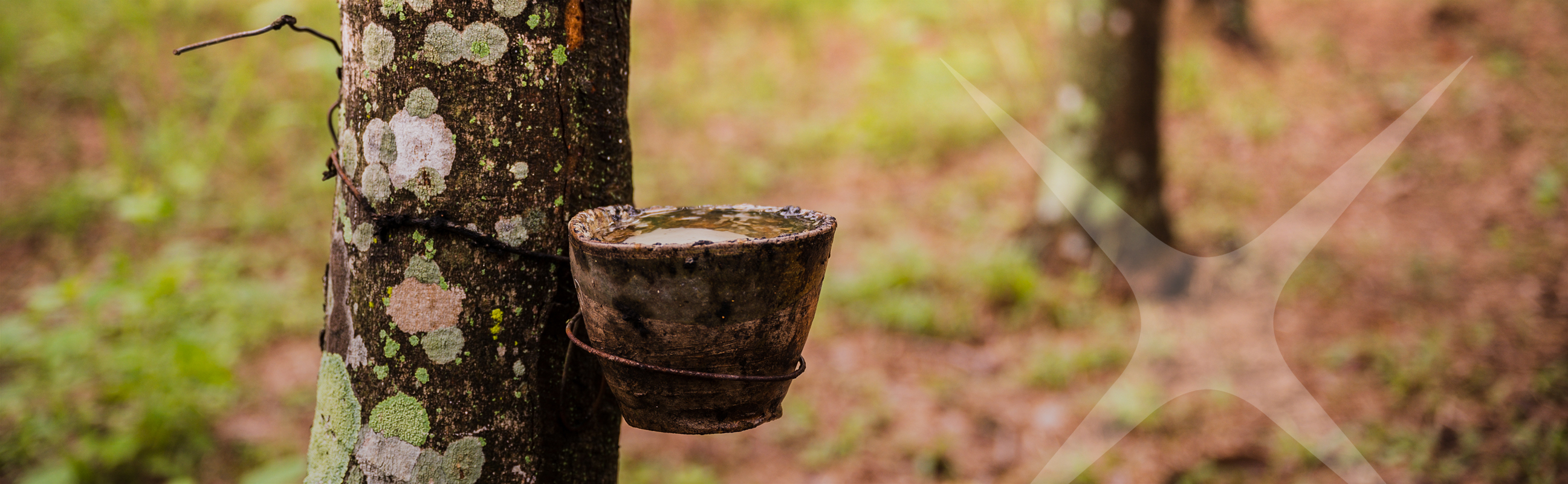 Natural rubber industry digital marketplace