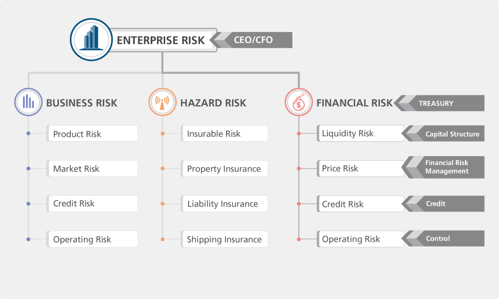 Treasury risks