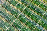 Greenhouse_Aerial_view-1352088159.jpg