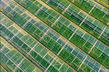 Greenhouse_Aerial_view-1352088159.jpg