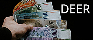 DBS Equilibrium Exchange Rates (DEER)