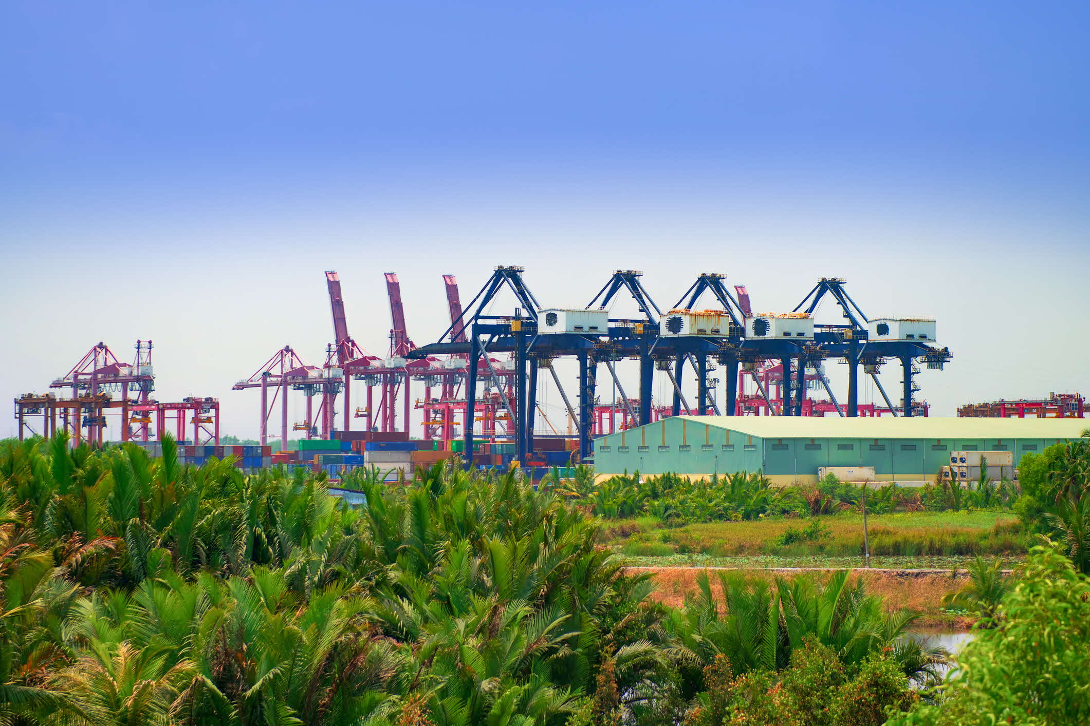 VIETNAM’S NEXT CHAPTER