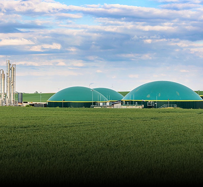 Bio-LNG turns palm waste into fuel