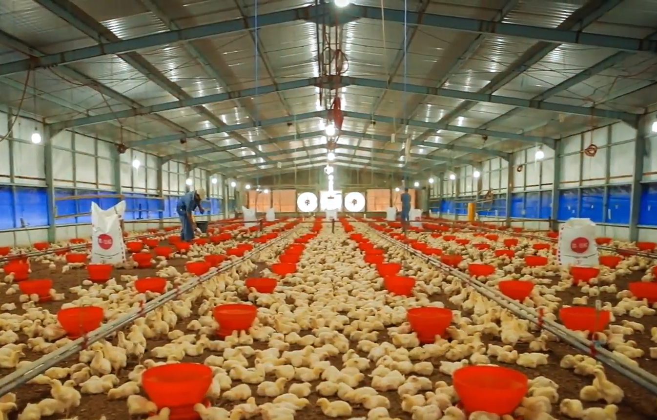 Pioneering Sustainable Agri-Food in Asia