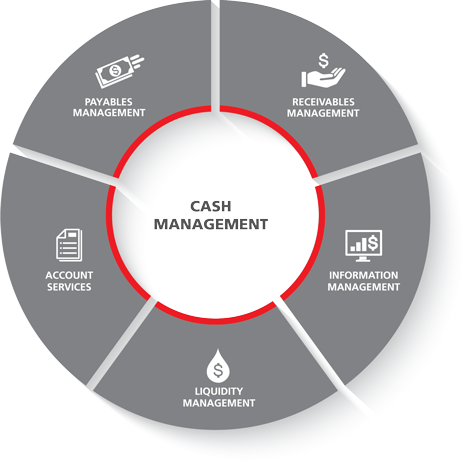 working capital solutions for cash management
