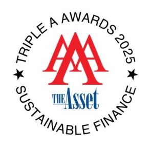 The Asset