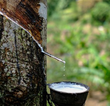 Sustainability-Linked Loan