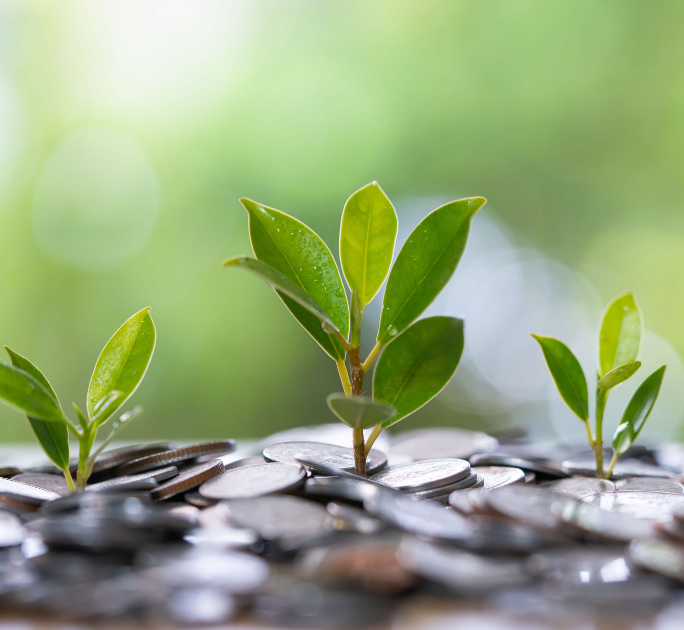 Sustainability-Linked Financing
