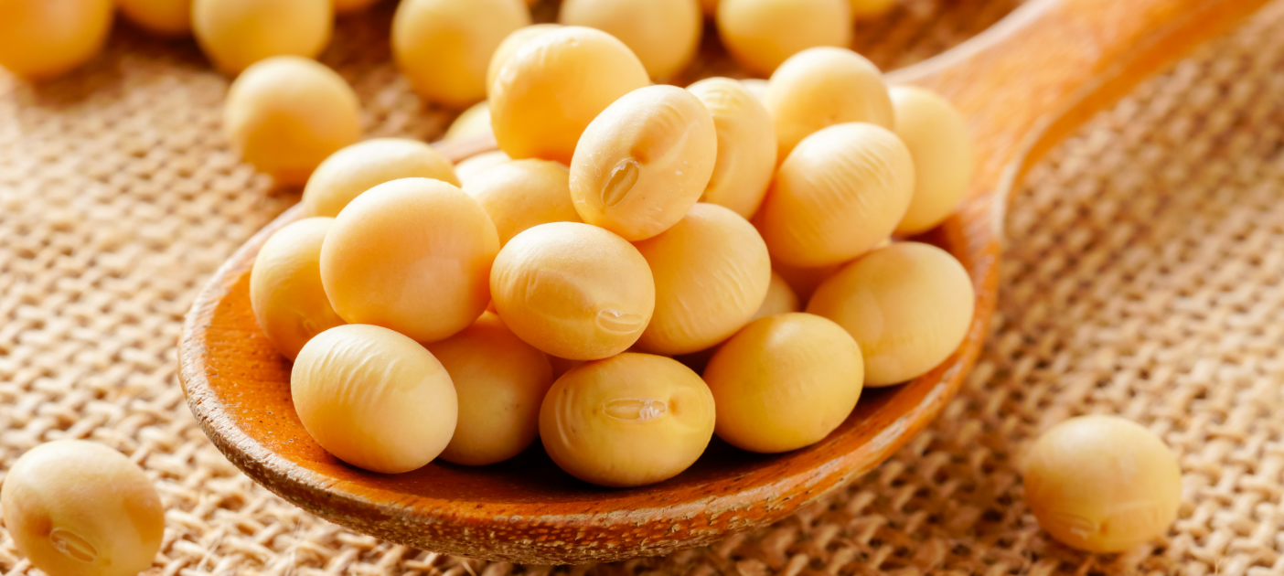 the-soybean-shift