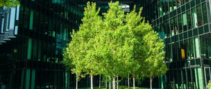 Decarbonising Real Estate Value Chains Playbook