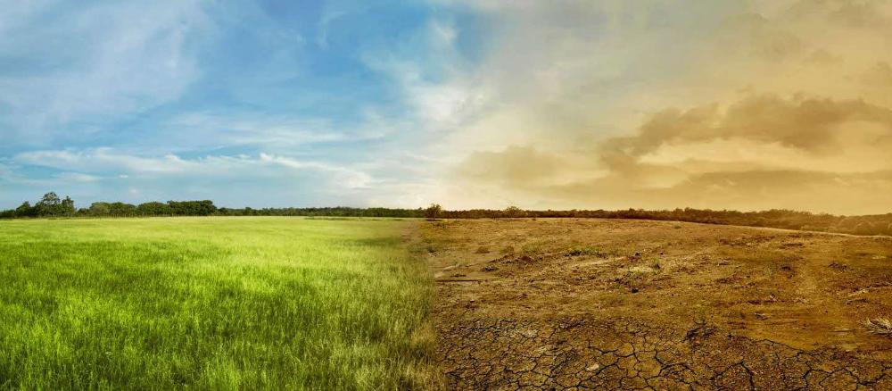 green bonds climate change