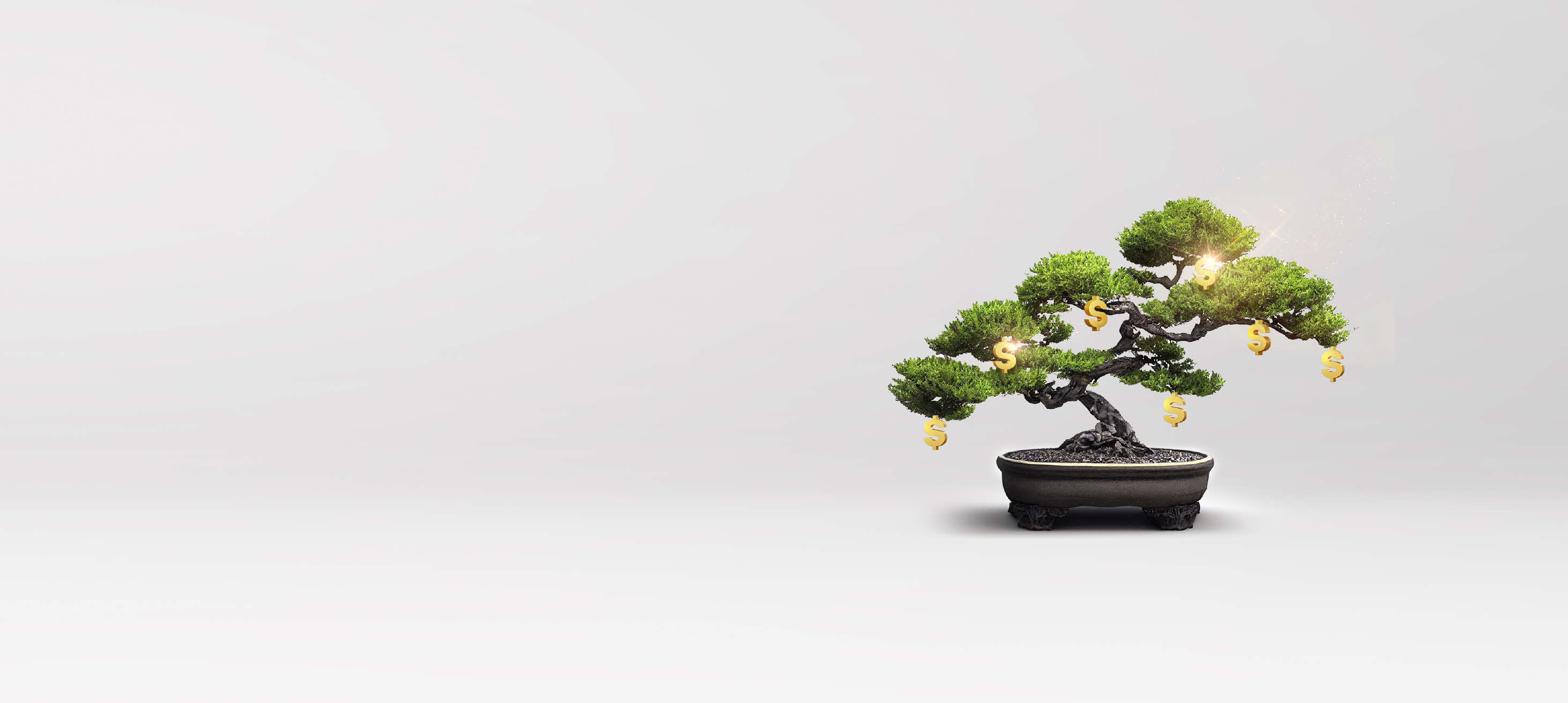 Corporate Wealth Management