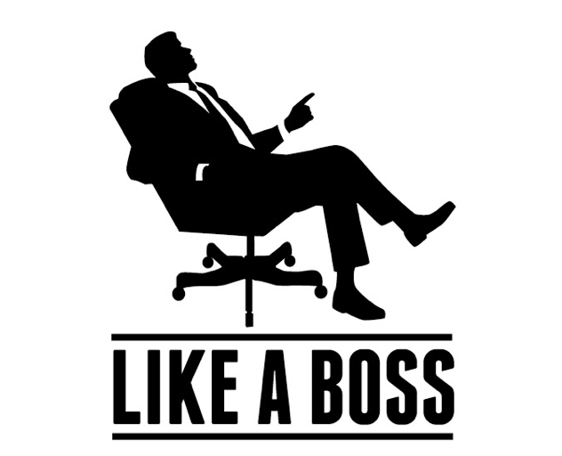 like a boss icon