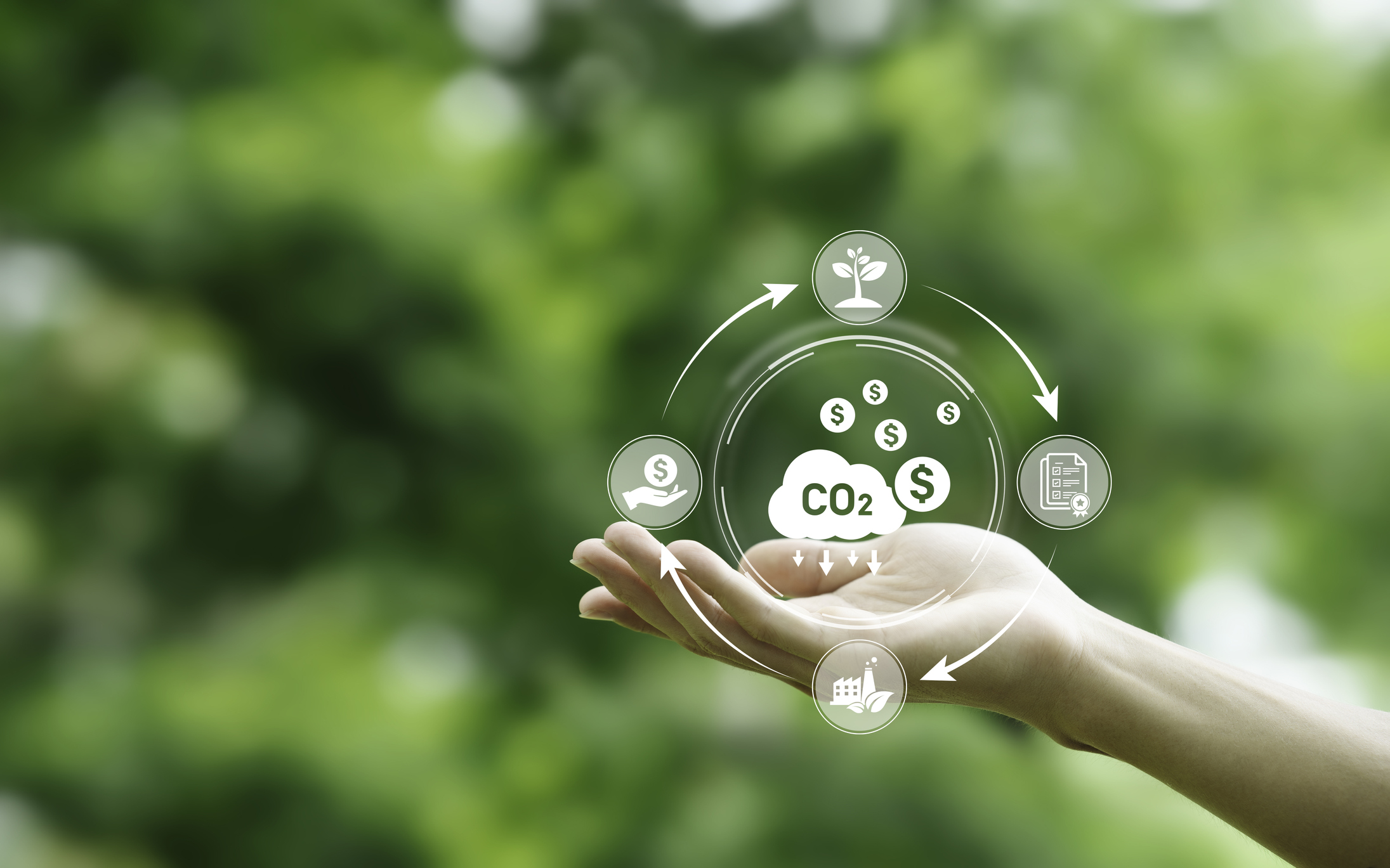Zeroing in on Carbon