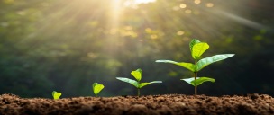 Working Capital Loans for SME growth