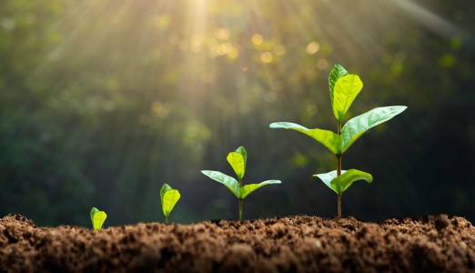 Working Capital Loans: How SMEs Move From Survival to Growth