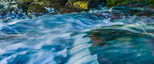EUA Liquidity Solutions