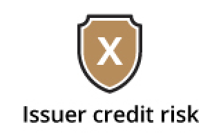 ELN Risk - Issuer Credit Risk