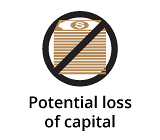 ELN Risk - Potential Loss of Capital