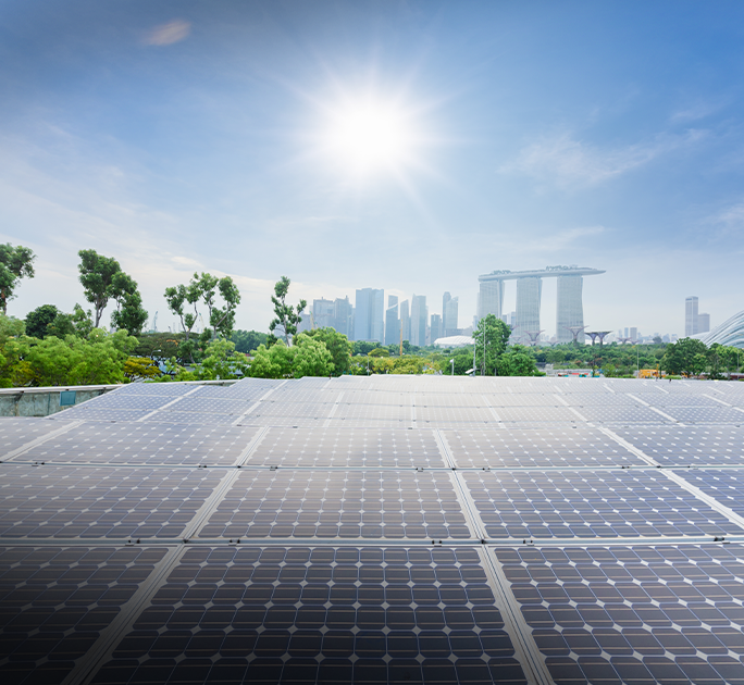 Scaling Renewable Energy Infrastructure to Achieve Singapore Net-Zero Future