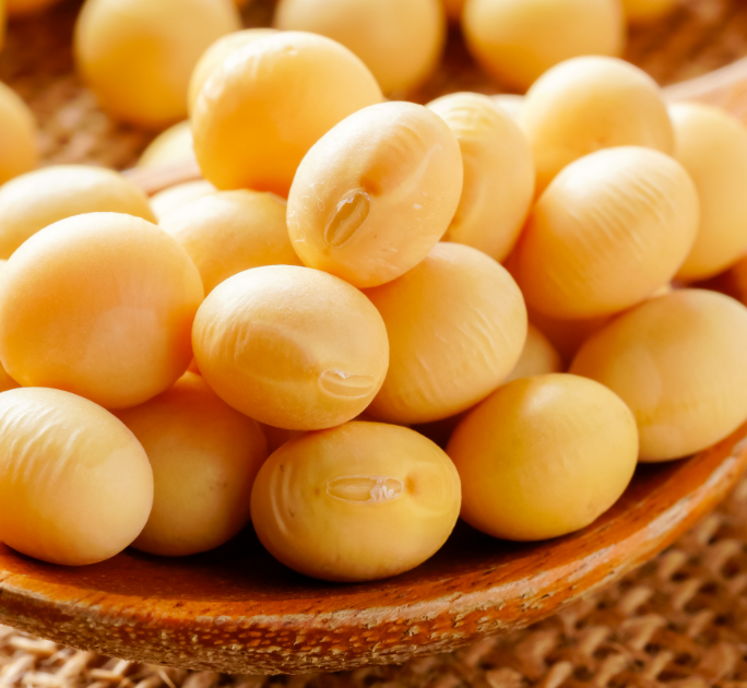 The Soybean Shift: What Tariffs Mean for US-China Trade