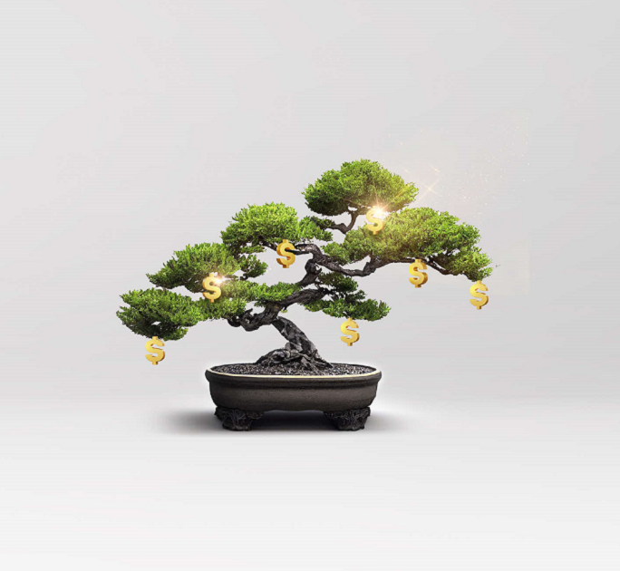 Corporate Wealth Management