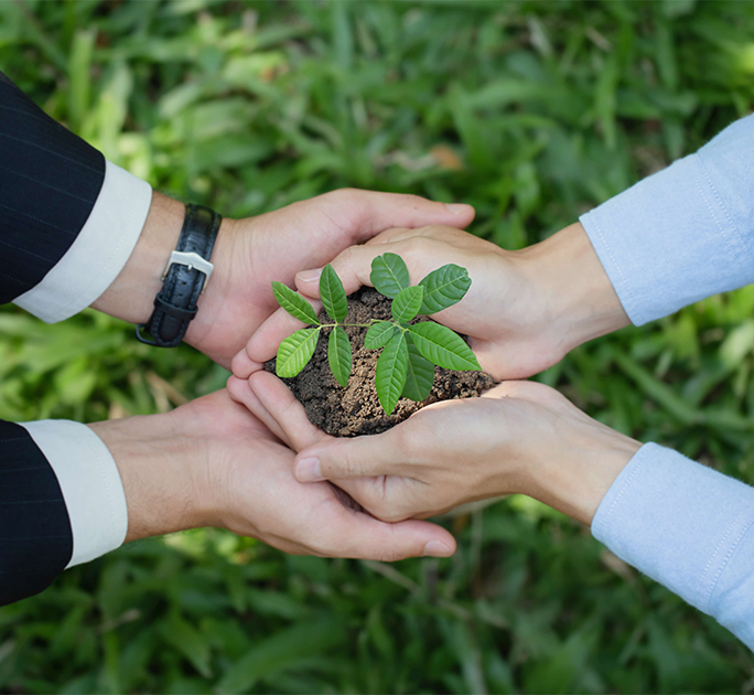 The Sustainability Imperative: From Compliance to Competitive Edge