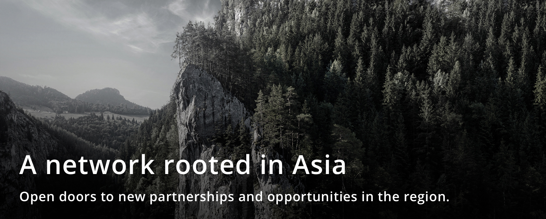 A network rooted in Asia