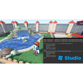 Roblox: Coding and Game Design