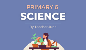 P6 Science Class with Teacher June