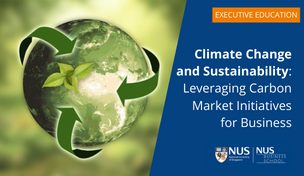 Climate Change and Sustainability: Leveraging Carbon Market Initiatives for Business