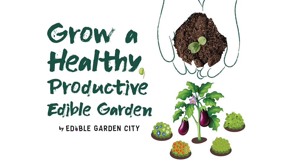 Grow a Healthy, Productive Edible Garden