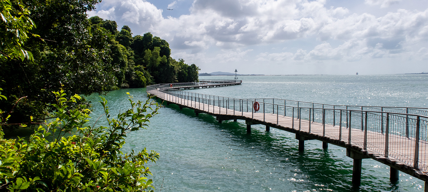 Pulau Ubin is located off Singapore northeastern coast and home to greenery and wildlife