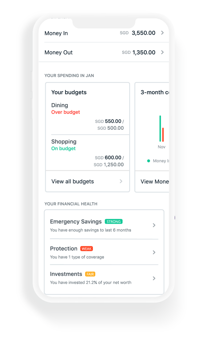 DBS NAV Planner Expense Tracker App