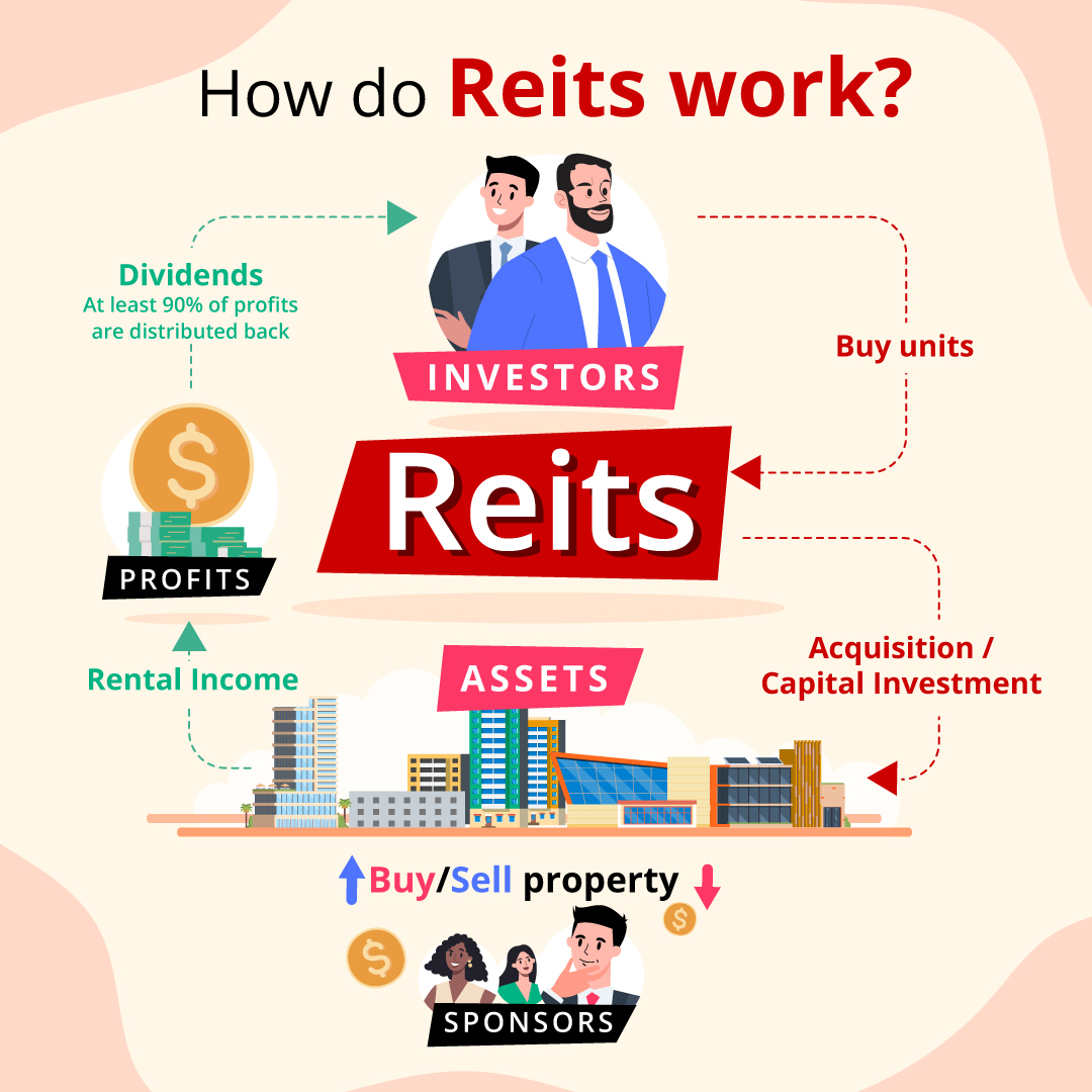 getting to know REITs