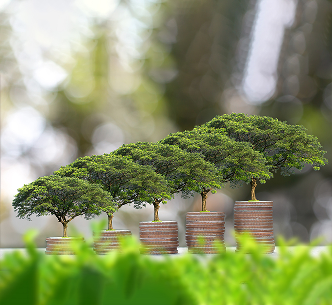 Separating fact from fiction in sustainable investing
