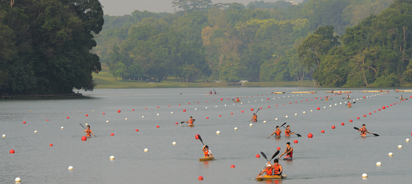Have fun at MacRitchie Reservoir, nature’s playground