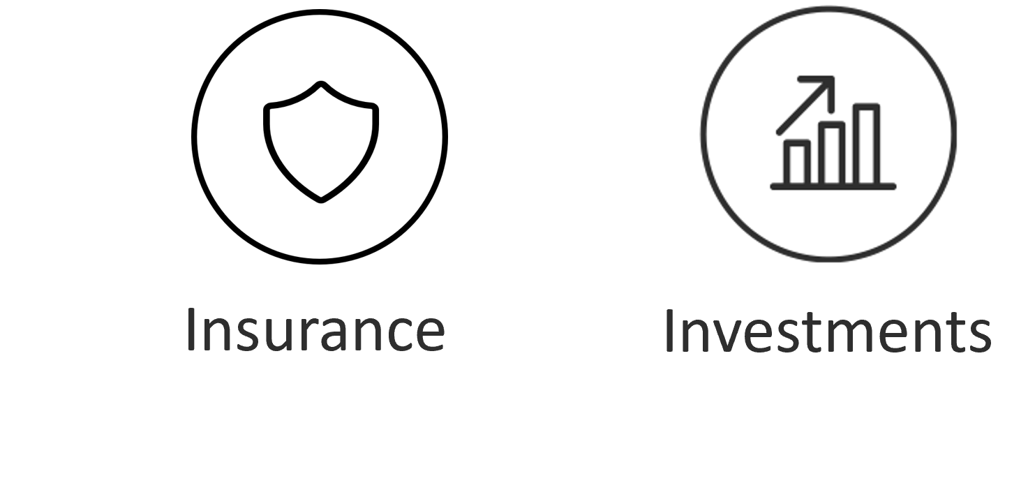 insurance plus investment icons