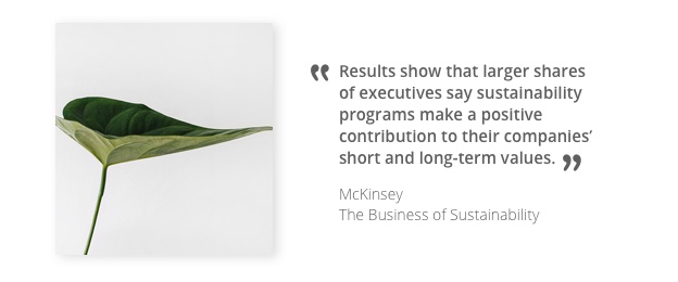 McKinsey The Business of Sustainability