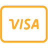 All Visa transactions