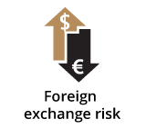 Risk of CLIs - Foreign Exchange Risk