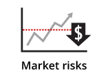 Risk of ELN -Market Risks