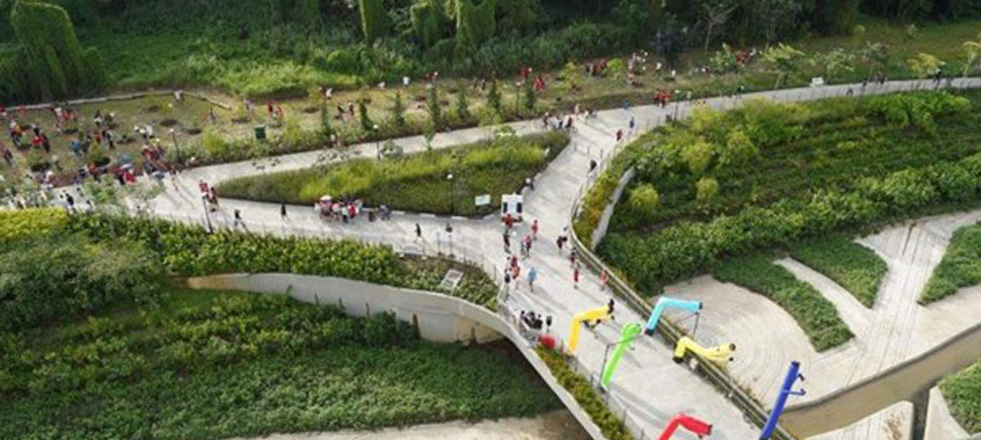 Incorporating rain gardens helped naturalise this concrete canal at Tampines. Such nature-based solutions are increasingly being used to create "green-grey" infrastructure to help cope with climate change.
