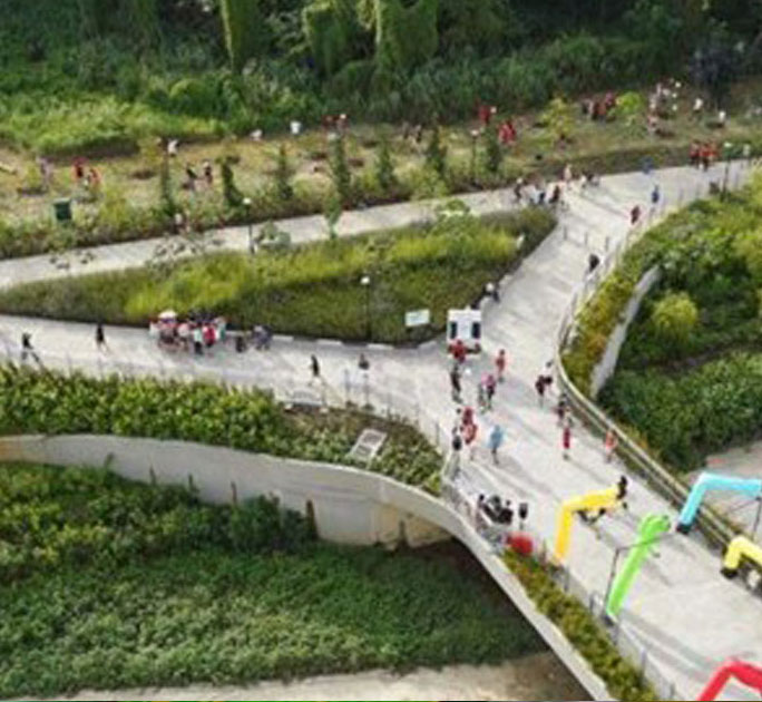 Incorporating rain gardens helped naturalise this concrete canal at Tampines. Such nature-based solutions are increasingly being used to create "green-grey" infrastructure to help cope with climate change.