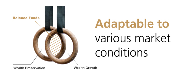 Balanced funds are adaptable to various market conditions